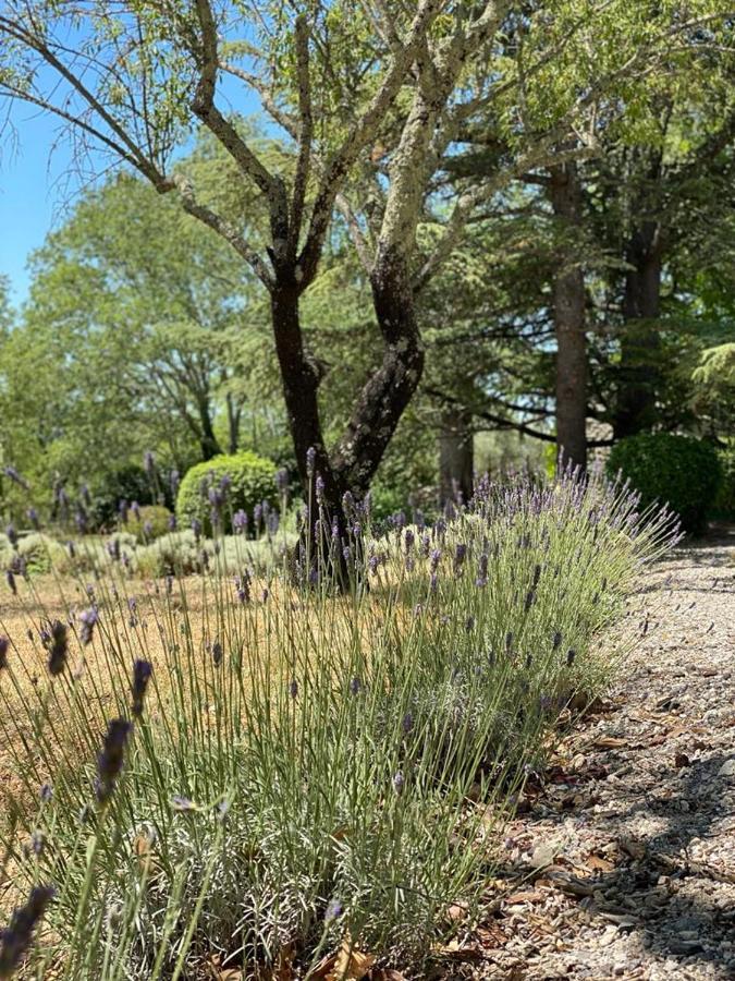 Domaine De Bonelli Hotel Conqueyrac Eksteriør billede